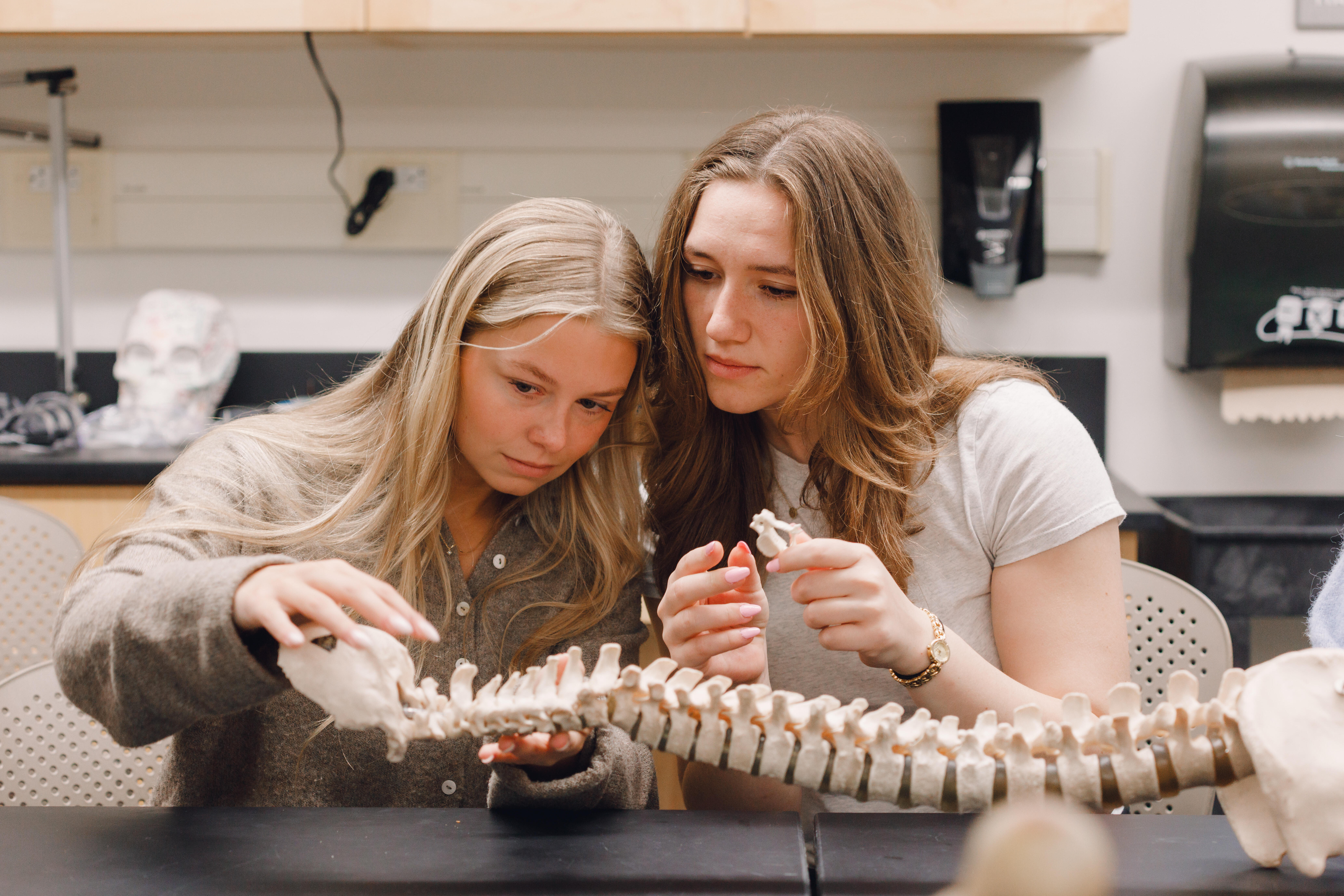 Wheaton College students in Anatomy Lab looking at spine model 