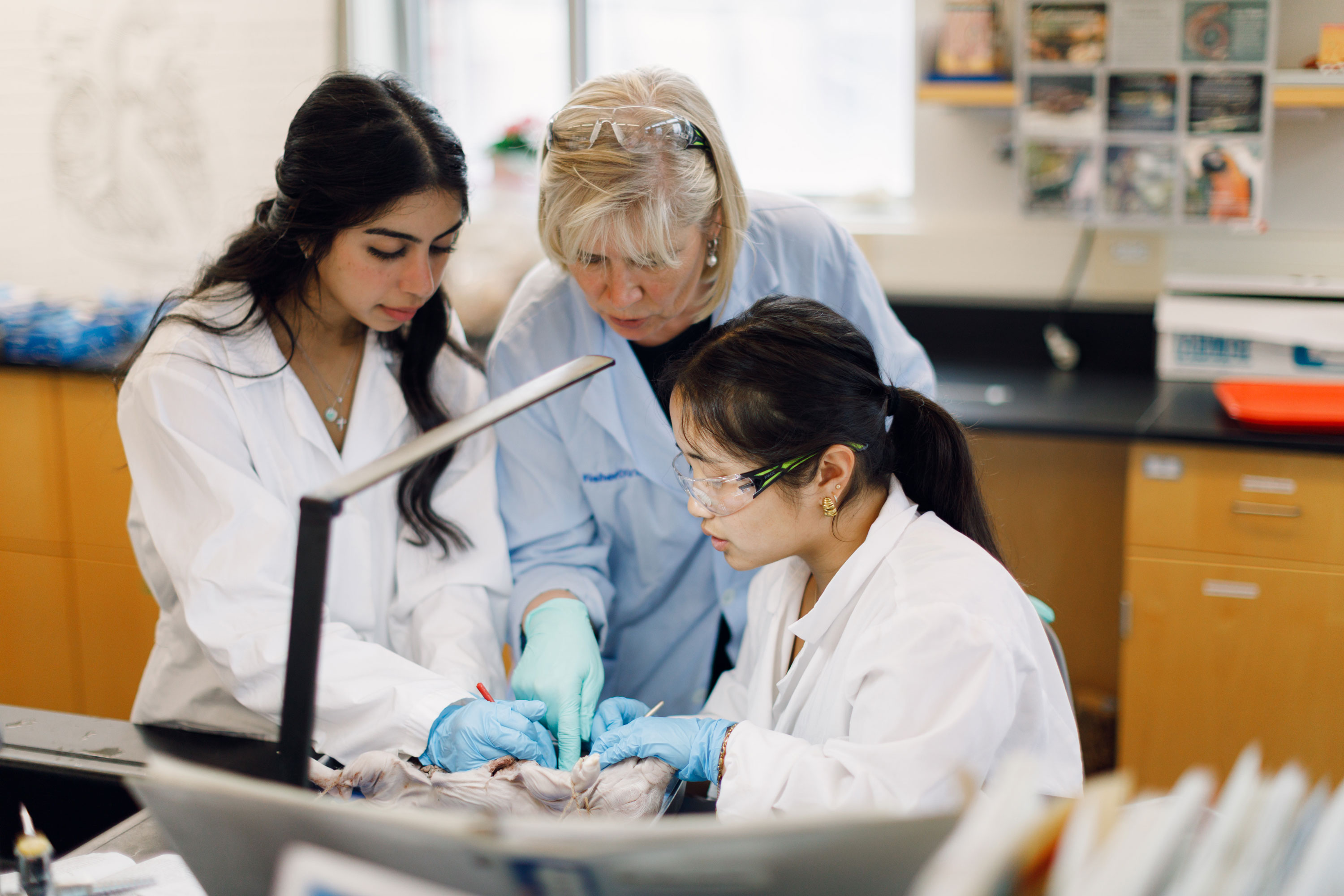 Wheaton College Biology Students and Prof Looking at Dissection