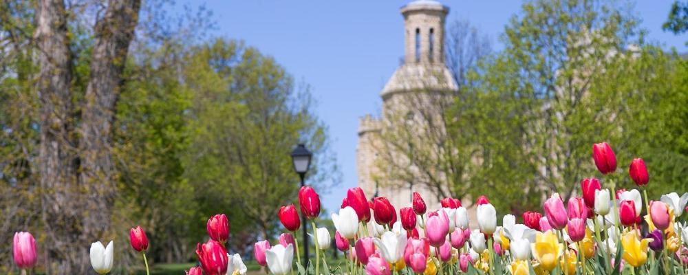 Blanchard-with-spring-tulips-1000x400.jpg