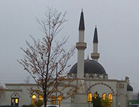Image of mosque with turrets