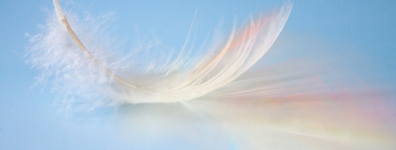 Women's-Chorale_Men's-Glee-Club-Concert-poster-image