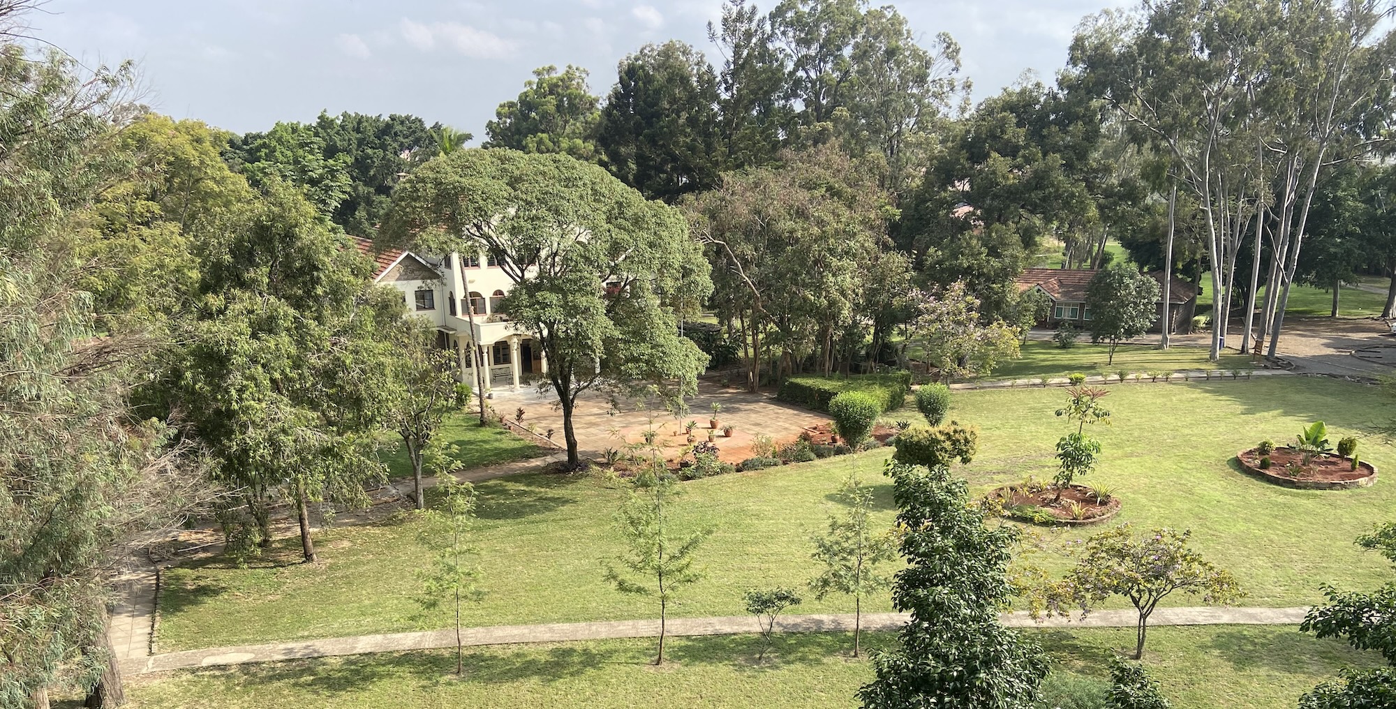 african village with lawn and trees