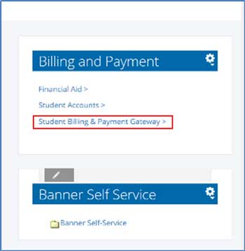 Billing and Payment Gateway Screenshot