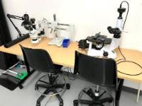 Wheaton College Engineering Lab Microscopes