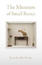 Museum of Small Bones book cover