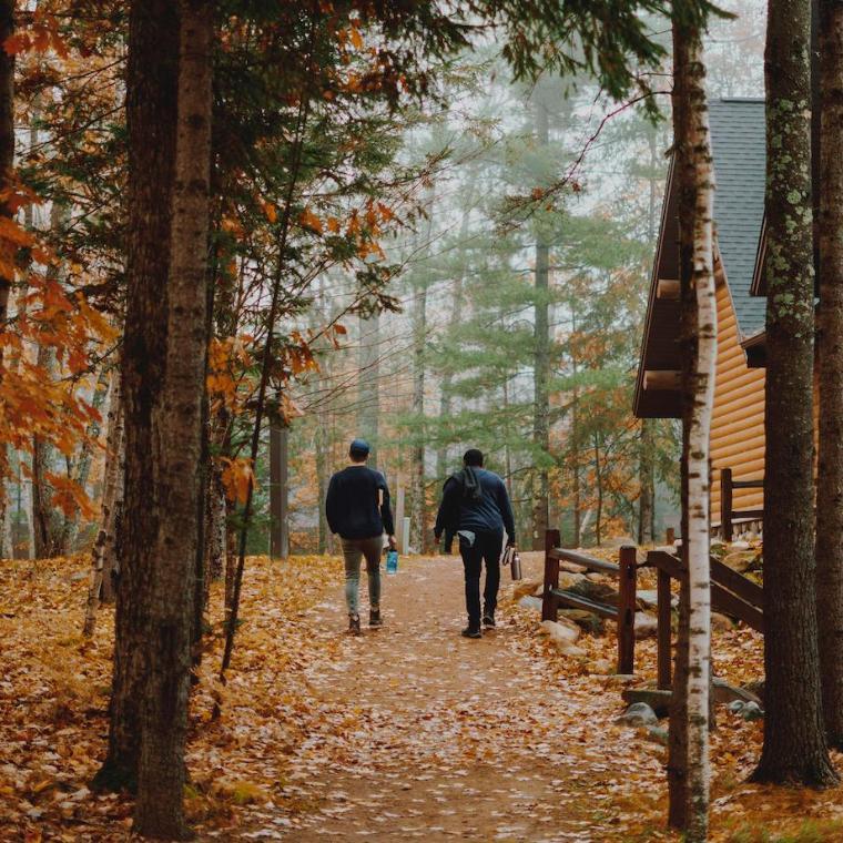 Students walking in forest in autumn