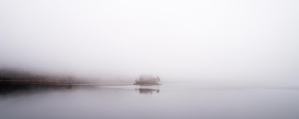 lake in fog