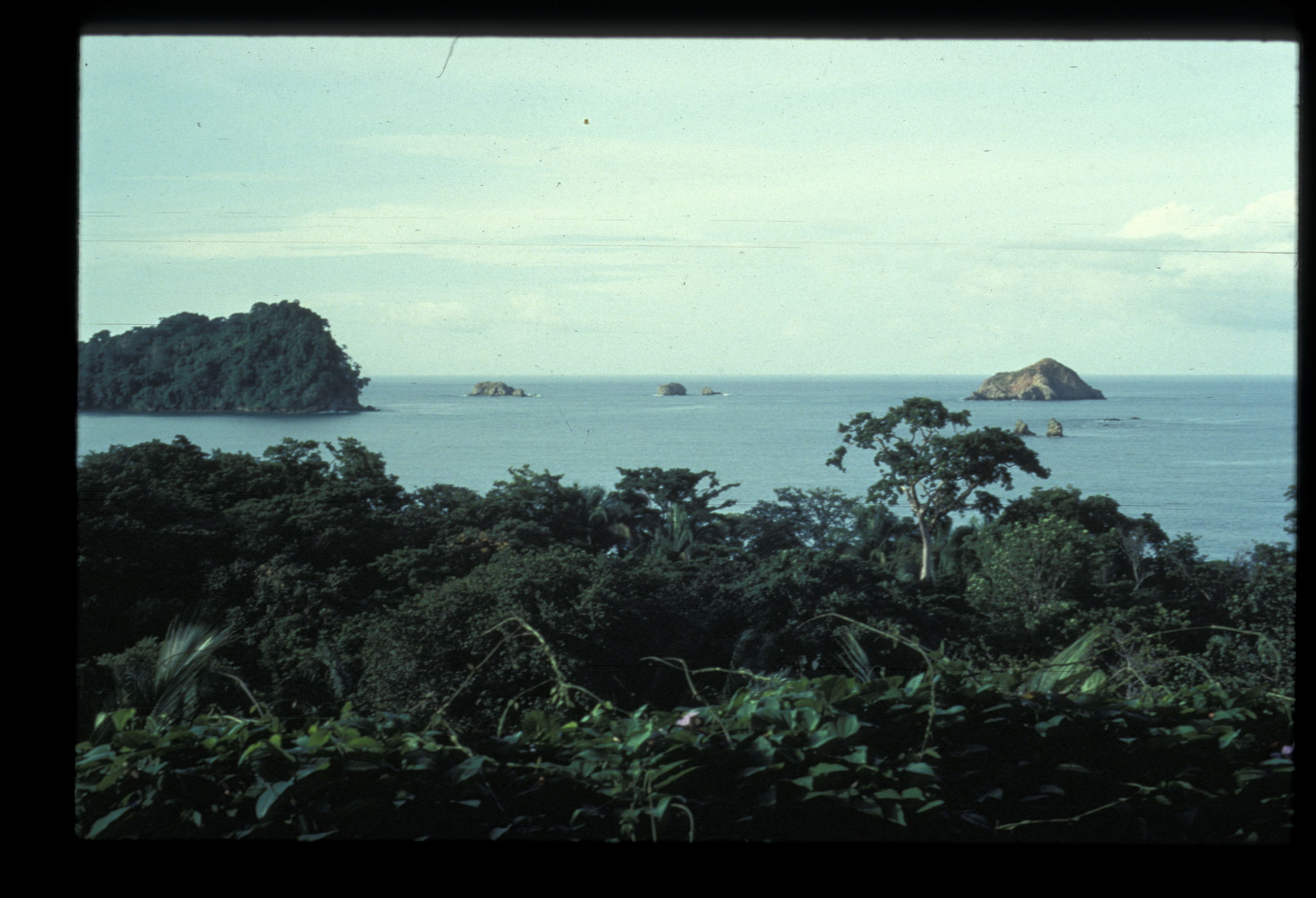 ocean view from '84