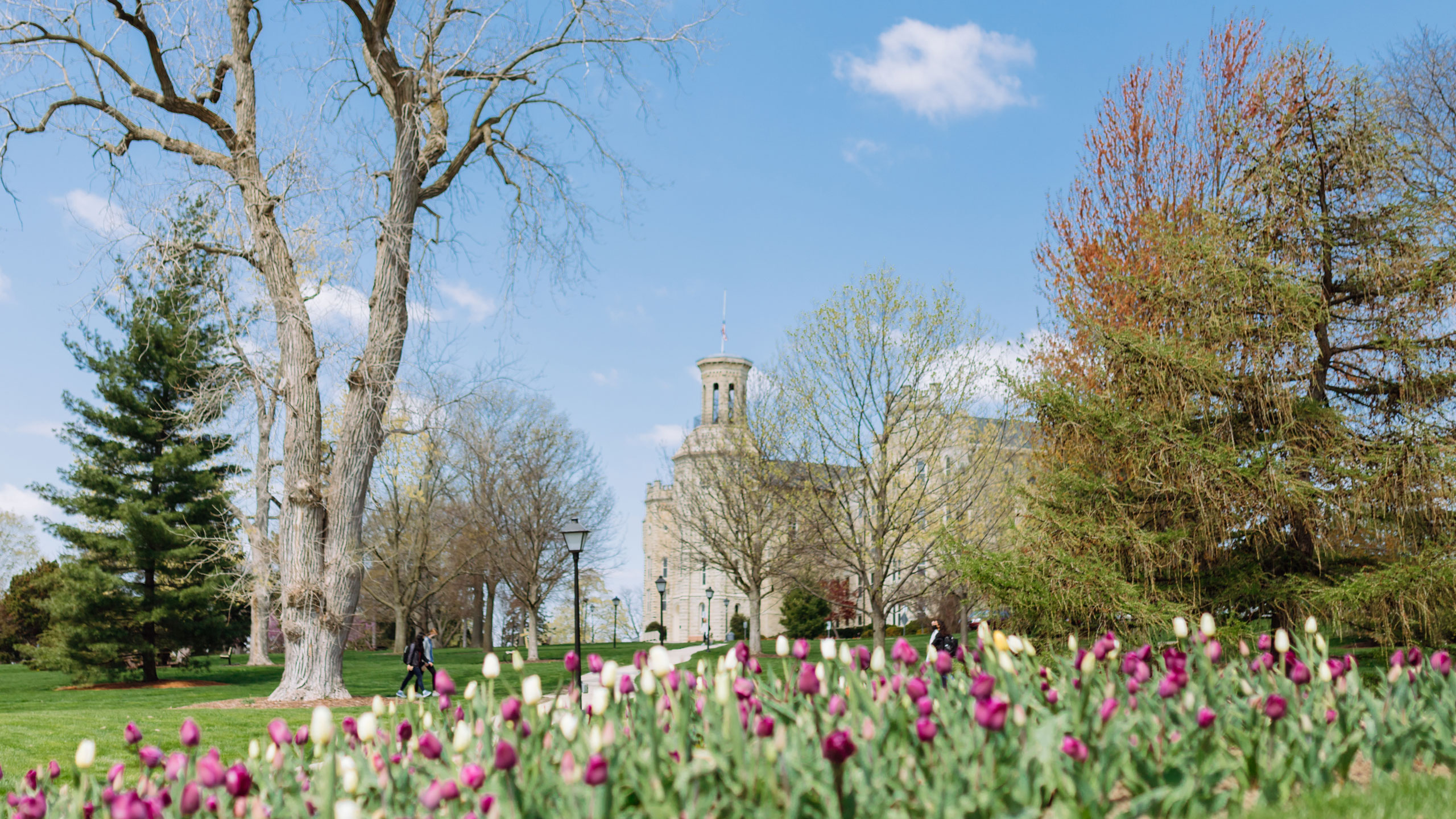 Blanchard Hall Spring 2560 x 1440
