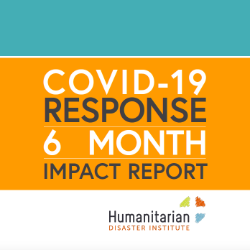 HDI 6 Month COVID-19 Response Report