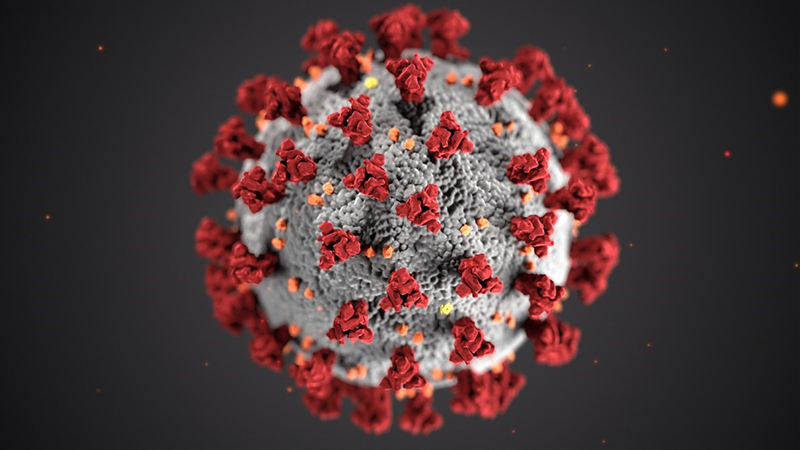 800x450 image of coronavirus 