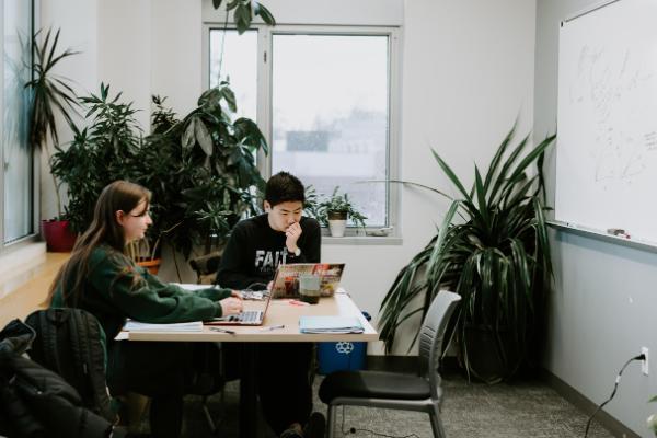 Two Students Studying in Study Room Crop