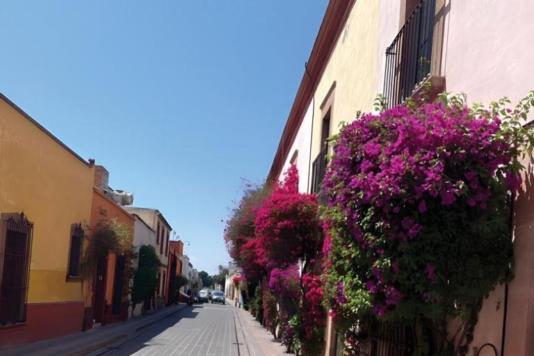 A flowering residential street in Mexico, taken by Lisa Maxwell Ryken during Wheaton in Mexico
