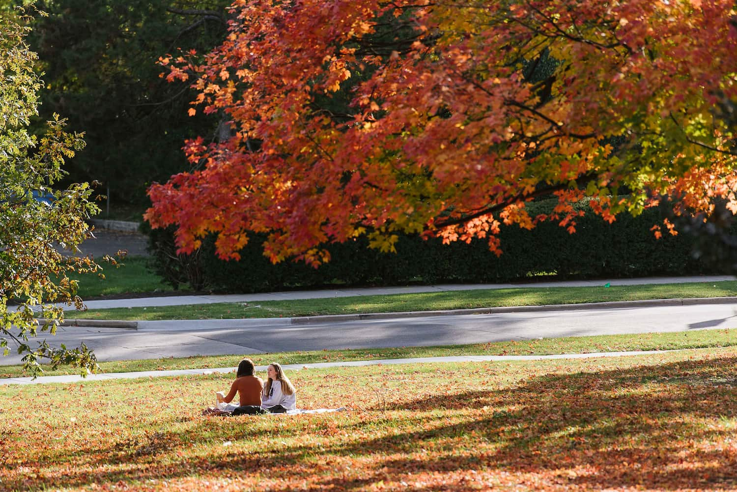 Wheaton College IL friends studying together outdoors