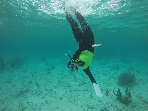 Diving Maritime under water Ari