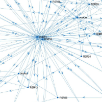 Graphical representation of a social network