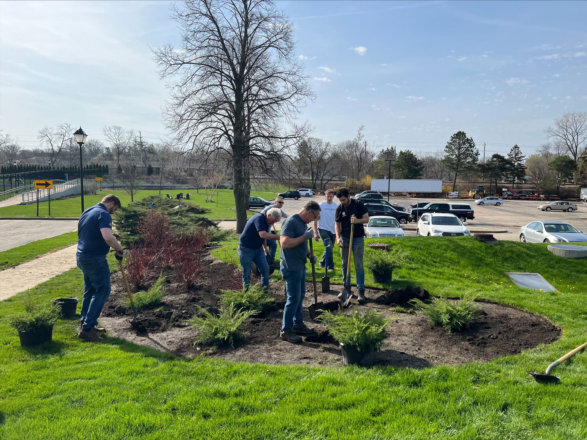 Volunteers and staff work on planting shrubs on campus