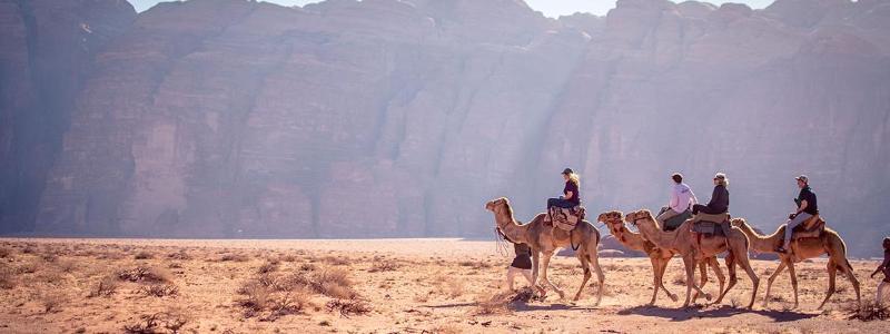 Camel ride in the Wadi
