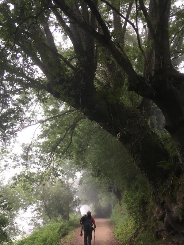 Santiago Trail in Spain