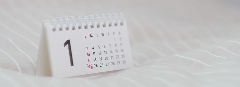 Desk Calendar 825 x 300 