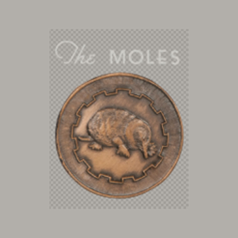 Mole image