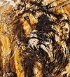 Aslan painting by Sally Brestin Hale