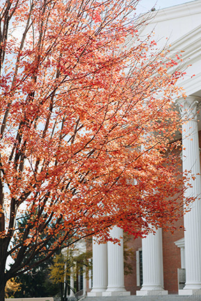 Billy Graham Center Fall 1 thumbnail