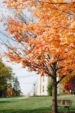 Blanchard Hall - Autumn 4