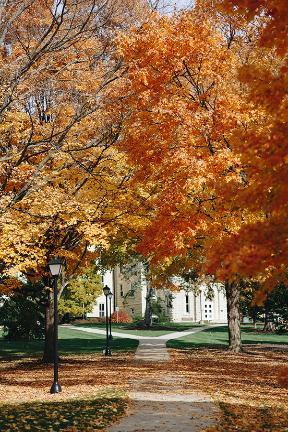 Blanchard Hall - Autumn 7