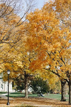 Blanchard Hall - Autumn 8