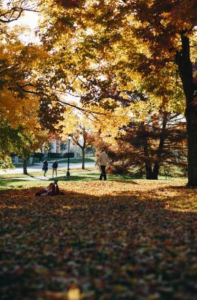 Blanchard Hall Lawn - Autumn 2
