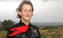 Temple Grandin Headshot